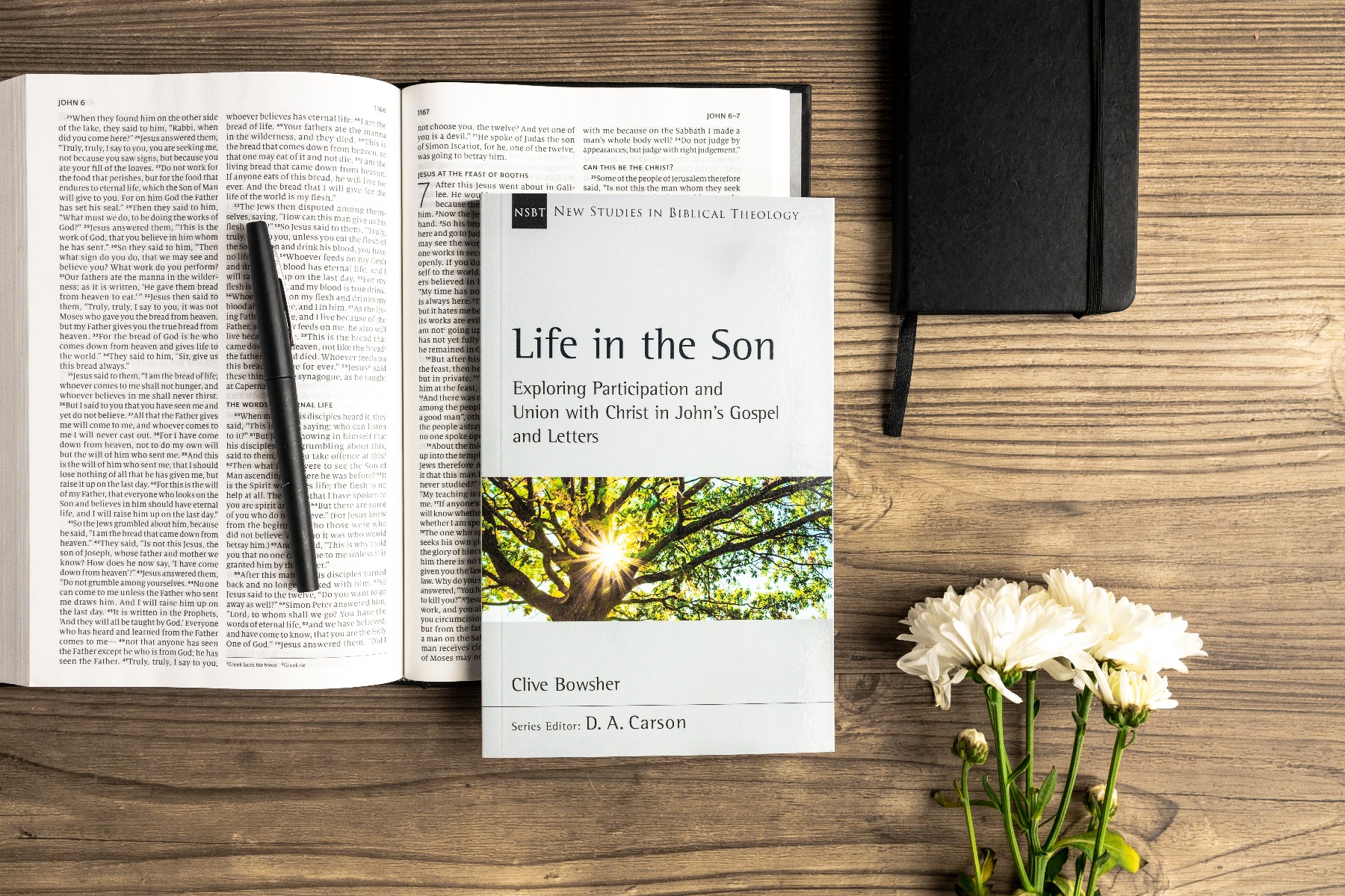 Life in the Son, on a bible