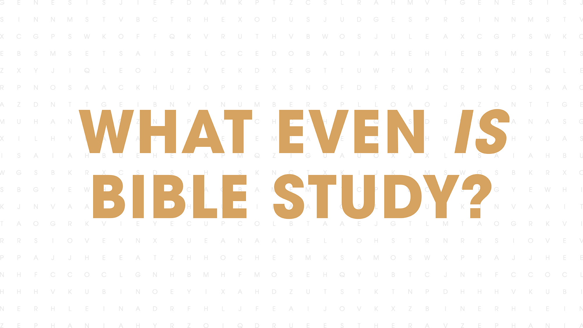 What even is Bible Study?