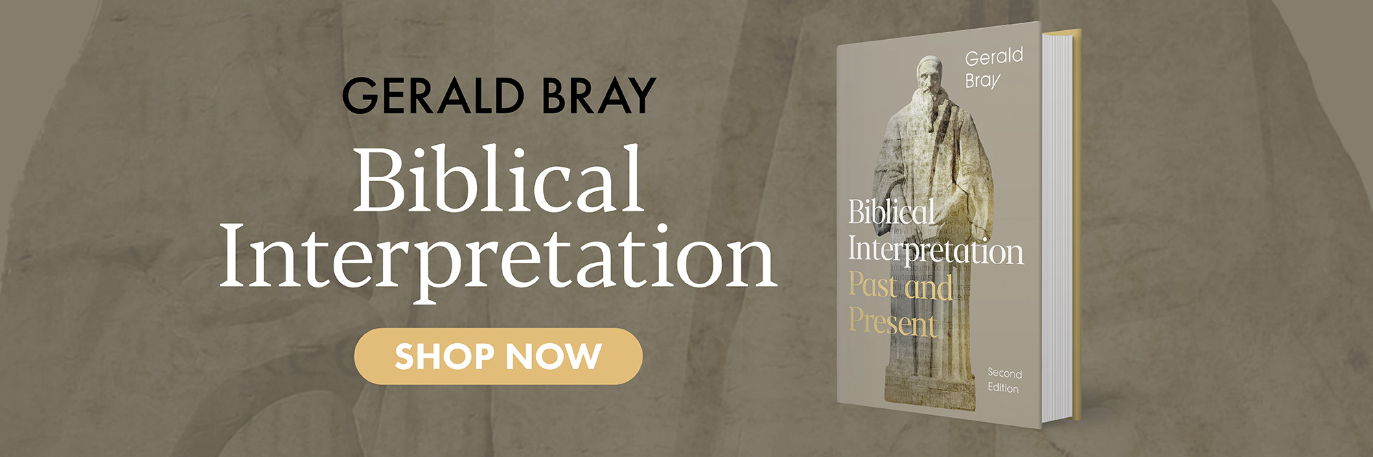 biblical interpretation gerald bray