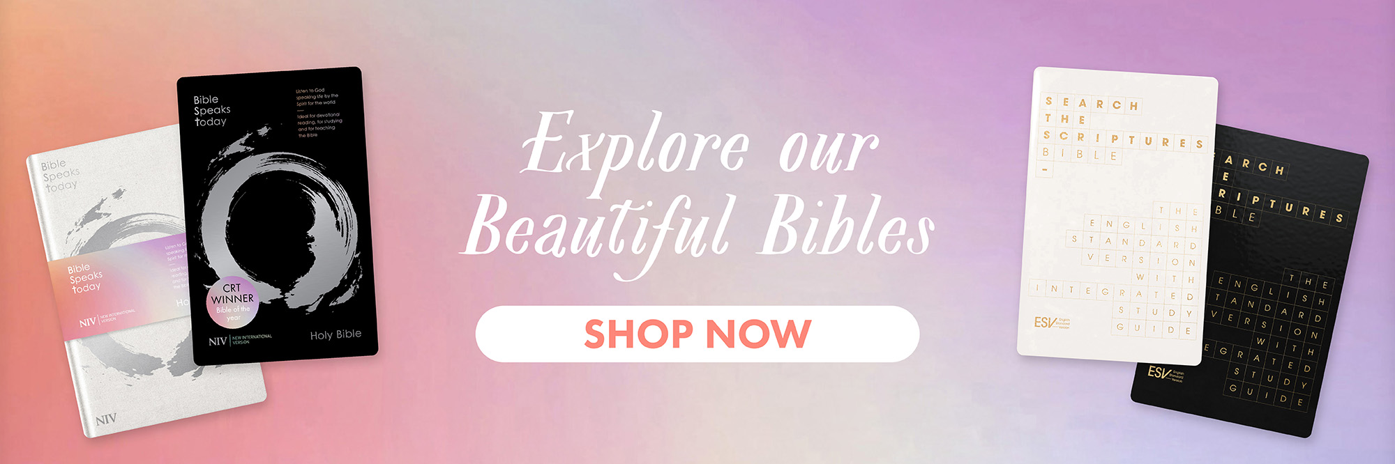 Beautiful and Bestselling Bibles