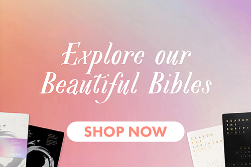 Beautiful and Bestselling Bibles