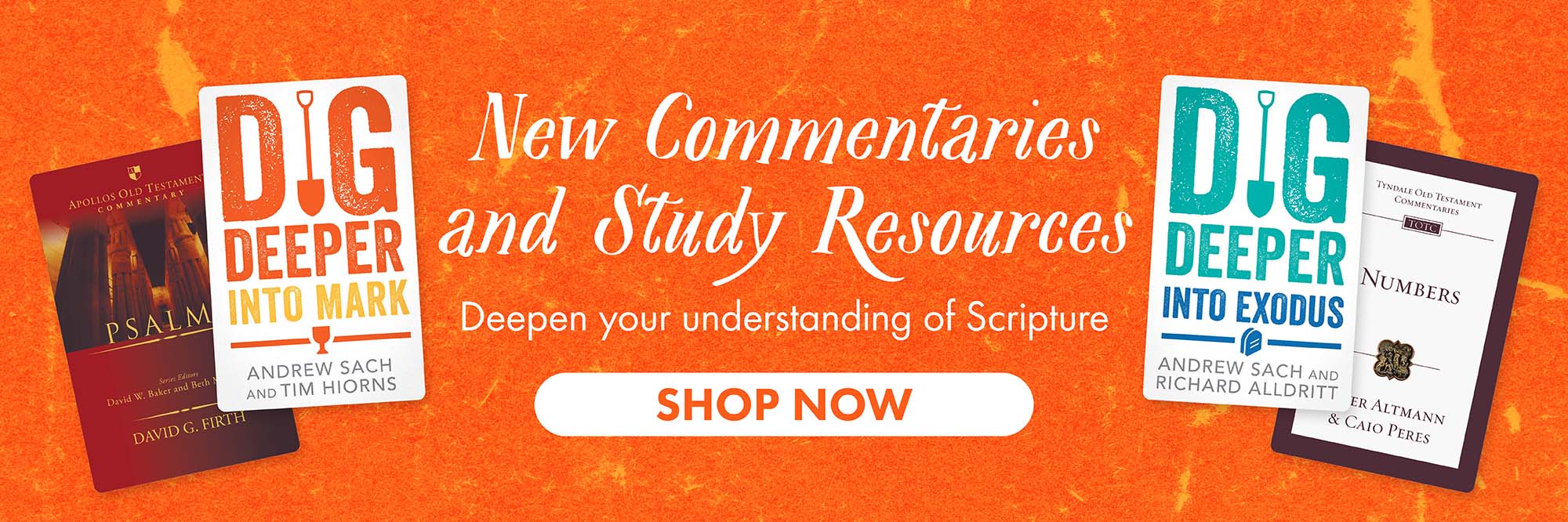 Best New In Bible Study