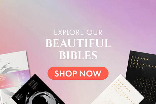 bestselling Bibles