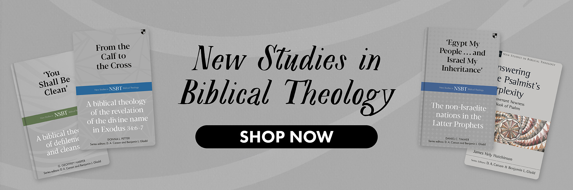 New Studies in Biblical Theology