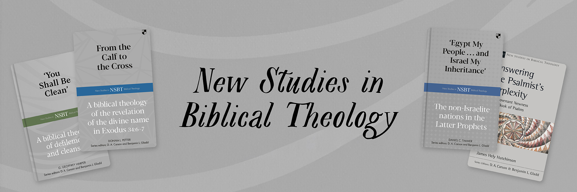 New Studies in Biblical Theology