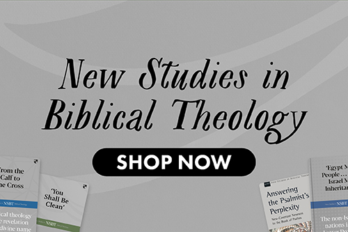 New Studies in Biblical Theology