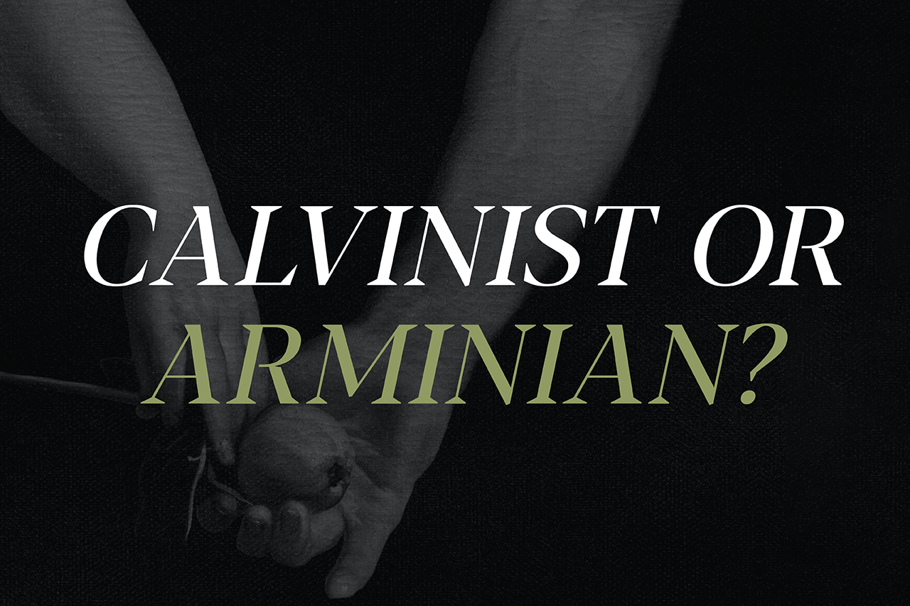 Calvinism or Arminianism?