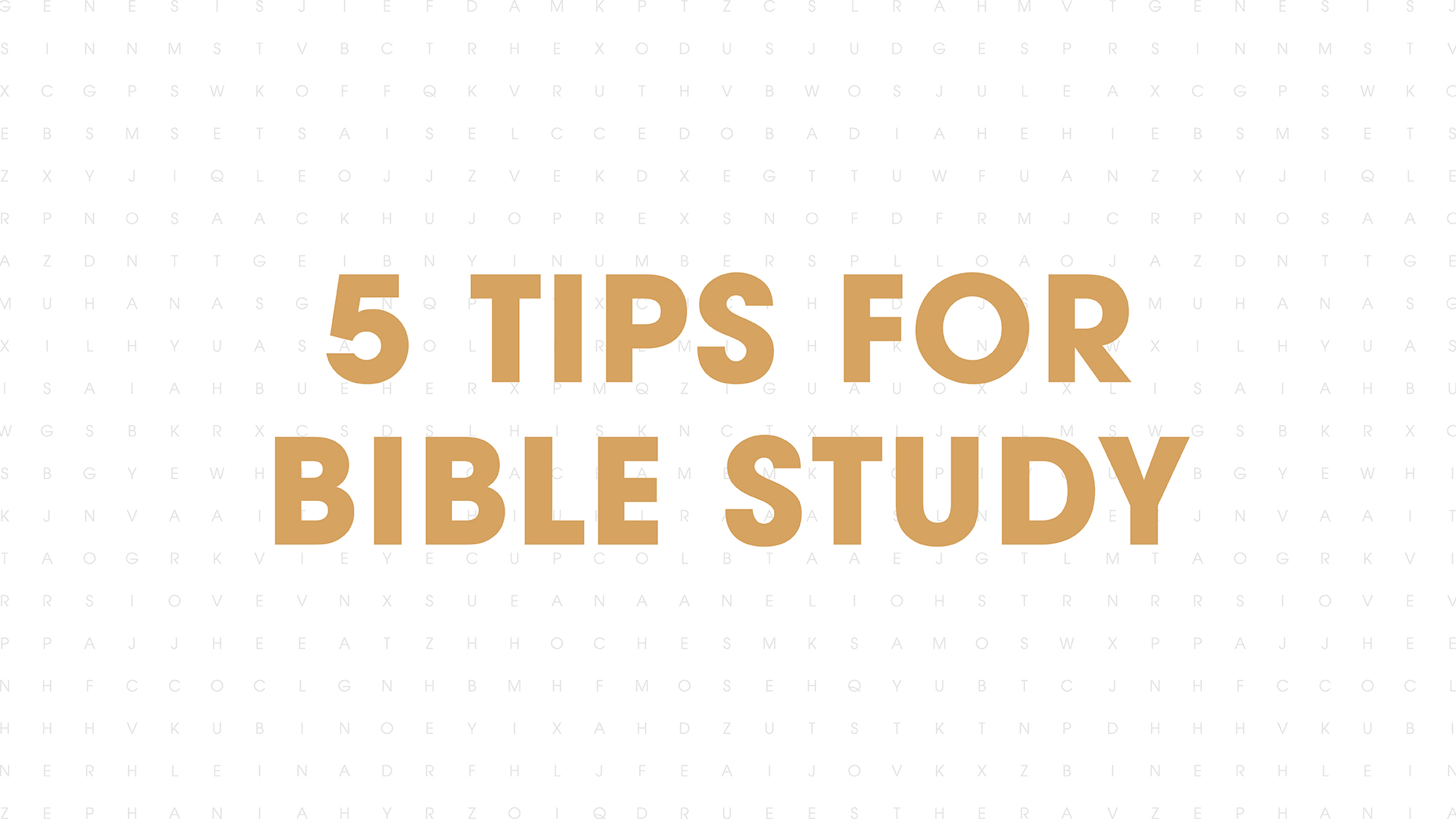 5 Tips for Bible Study
