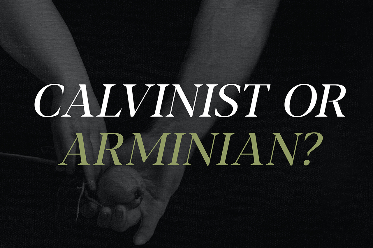 Calvinist or Arminian?