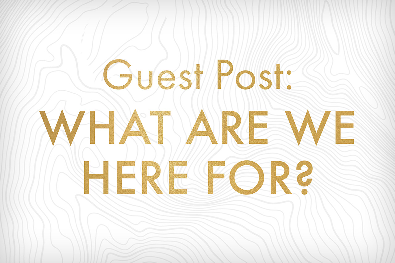 Guest Post: What are we here for?